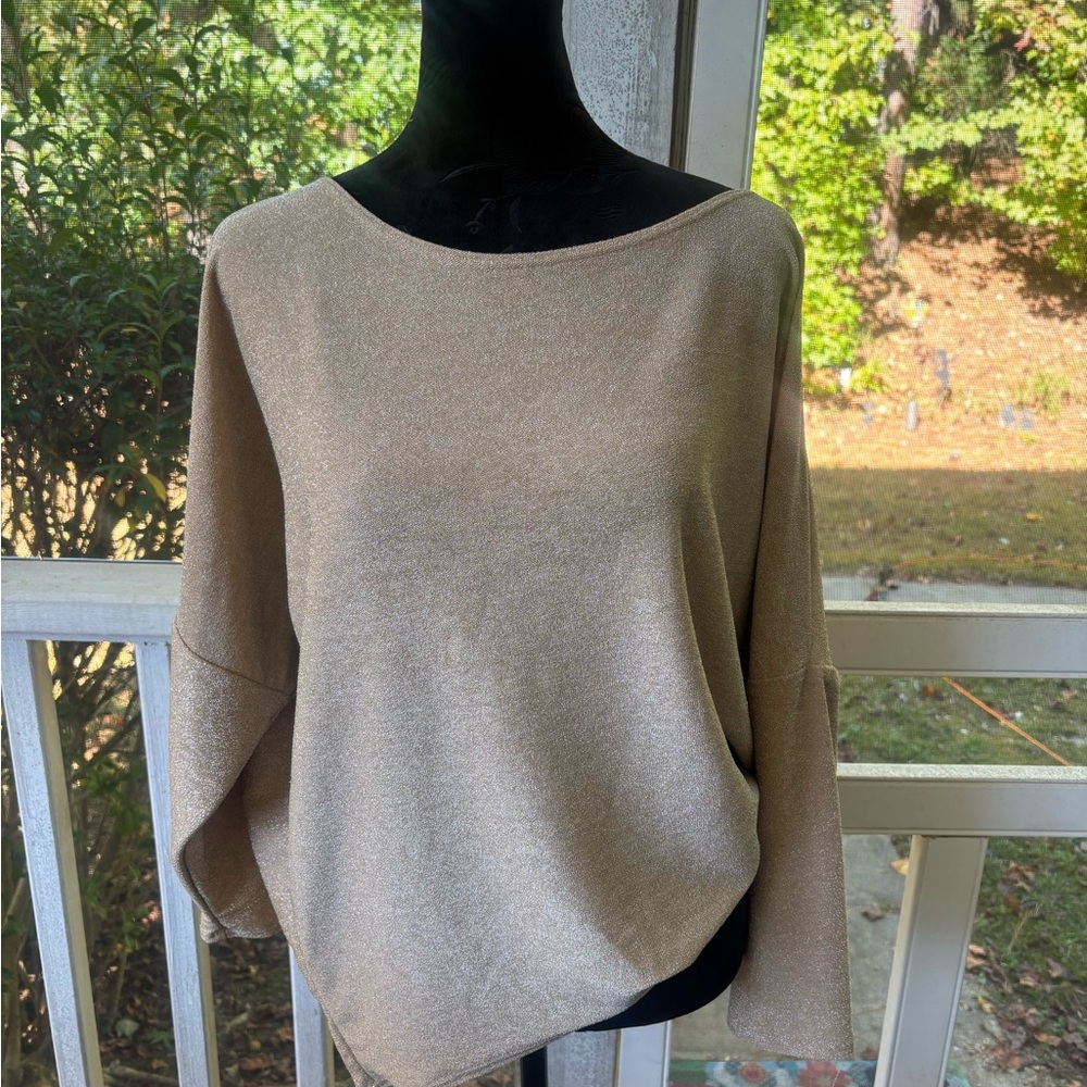 Elegant Tan/Gold Shimmer top